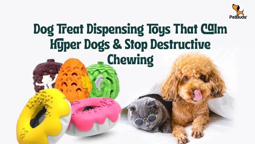 Dog Treat Dispensing Toys That Calm Hyper Dogs & Stop Destructive Chewing