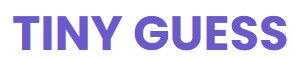 Tiny Guess: A Fun and Minimalist Guessing Game for the Mind
