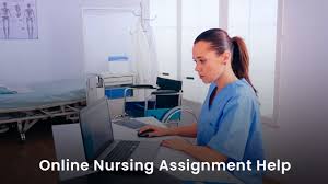 nursing assignment help