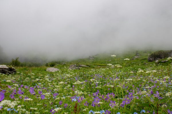 Valley of Flowers & Hemkund Sahib Itinerary: A Practical Guide